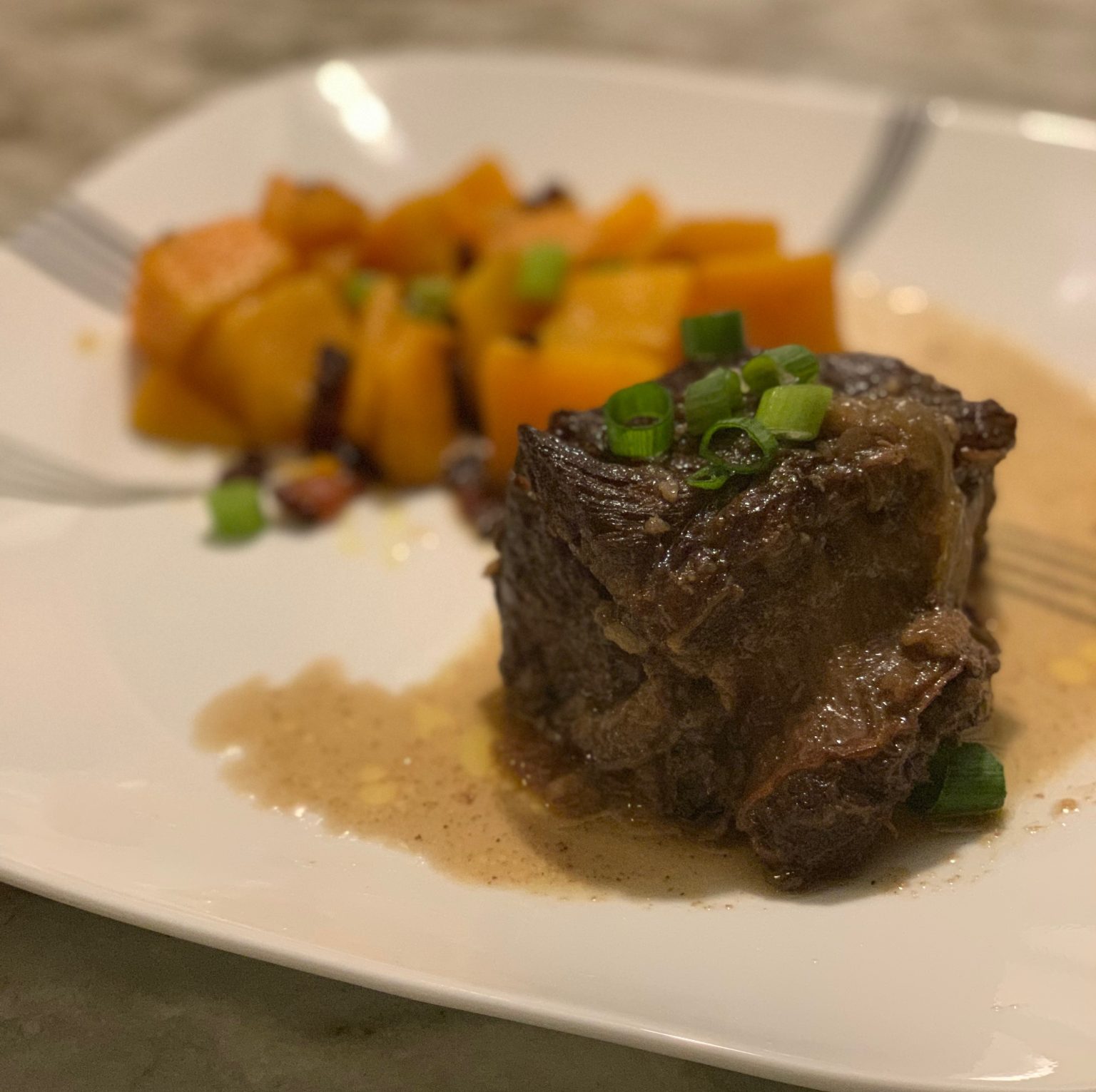 Braised Short Rib and Oven Roasted Butternut Squash – ZeenCuisine
